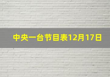 中央一台节目表12月17日