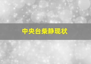 中央台柴静现状