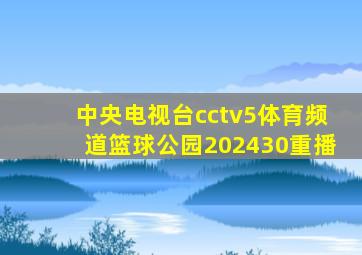 中央电视台cctv5体育频道篮球公园202430重播