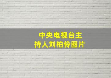 中央电视台主持人刘柏伶图片