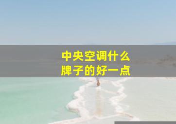 中央空调什么牌子的好一点