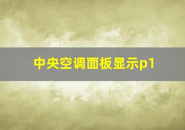 中央空调面板显示p1