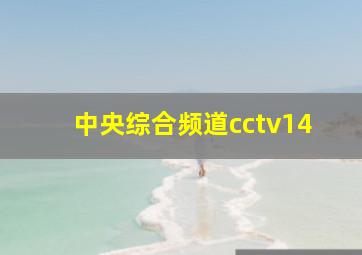 中央综合频道cctv14