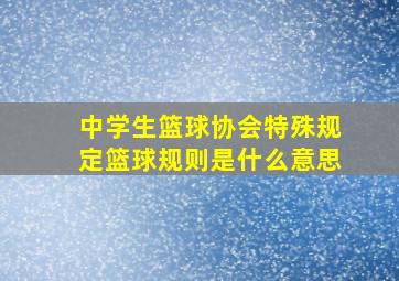 中学生篮球协会特殊规定篮球规则是什么意思