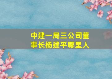 中建一局三公司董事长杨建平哪里人