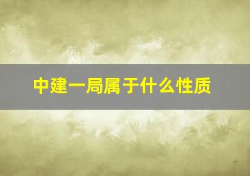 中建一局属于什么性质