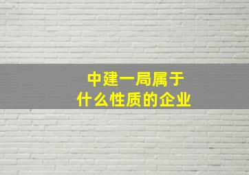 中建一局属于什么性质的企业