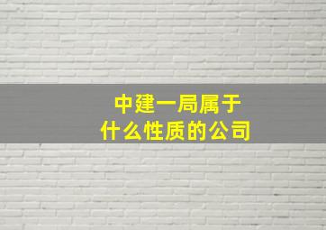 中建一局属于什么性质的公司