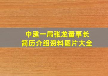 中建一局张龙董事长简历介绍资料图片大全