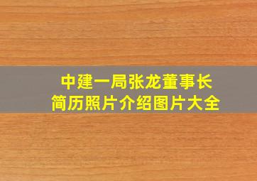 中建一局张龙董事长简历照片介绍图片大全