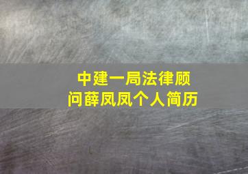 中建一局法律顾问薛凤凤个人简历