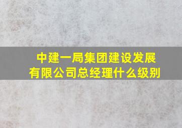 中建一局集团建设发展有限公司总经理什么级别