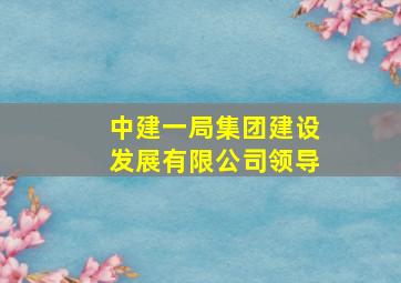 中建一局集团建设发展有限公司领导