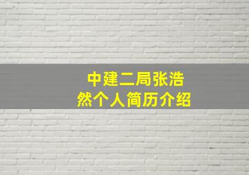 中建二局张浩然个人简历介绍