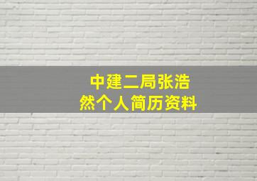 中建二局张浩然个人简历资料