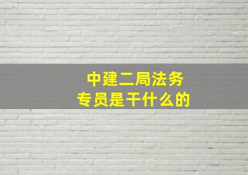 中建二局法务专员是干什么的