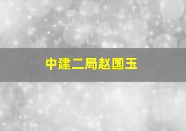 中建二局赵国玉