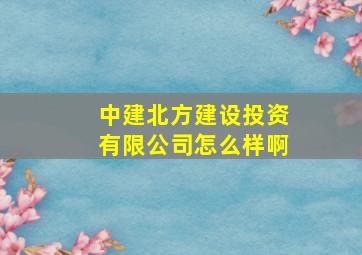 中建北方建设投资有限公司怎么样啊