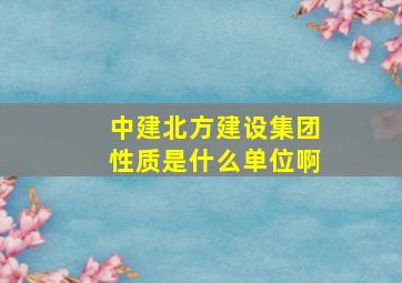 中建北方建设集团性质是什么单位啊