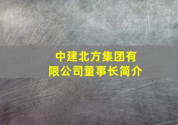 中建北方集团有限公司董事长简介