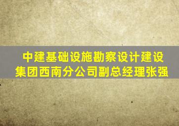 中建基础设施勘察设计建设集团西南分公司副总经理张强