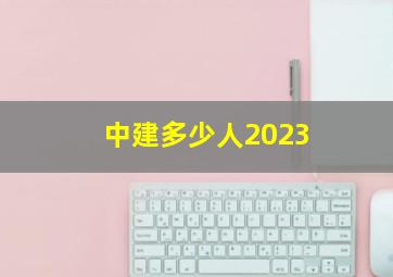 中建多少人2023