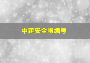 中建安全帽编号