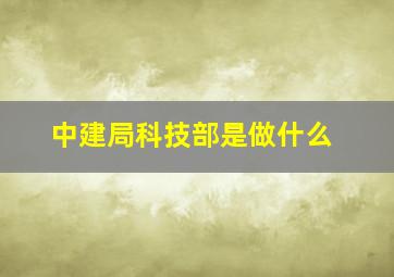 中建局科技部是做什么