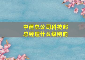 中建总公司科技部总经理什么级别的