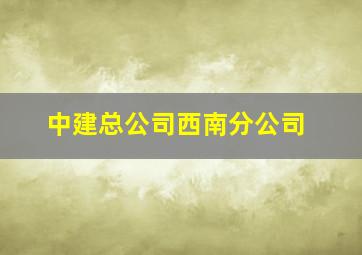 中建总公司西南分公司