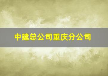 中建总公司重庆分公司