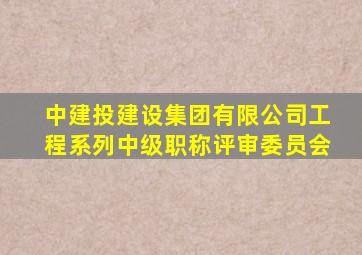 中建投建设集团有限公司工程系列中级职称评审委员会