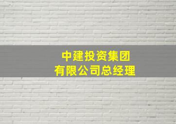 中建投资集团有限公司总经理