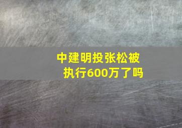 中建明投张松被执行600万了吗