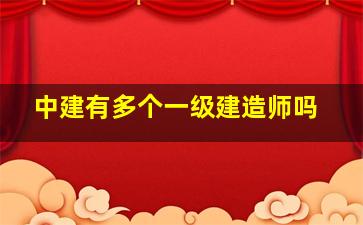 中建有多个一级建造师吗