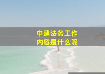 中建法务工作内容是什么呢