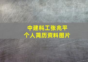 中建科工张兆平个人简历资料图片