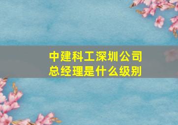 中建科工深圳公司总经理是什么级别