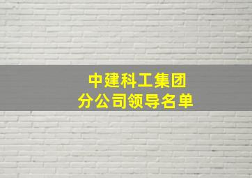 中建科工集团分公司领导名单