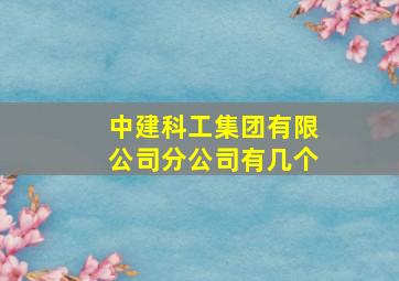 中建科工集团有限公司分公司有几个