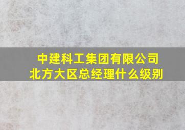 中建科工集团有限公司北方大区总经理什么级别