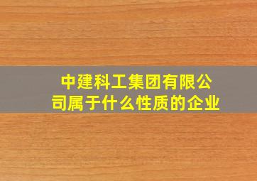 中建科工集团有限公司属于什么性质的企业