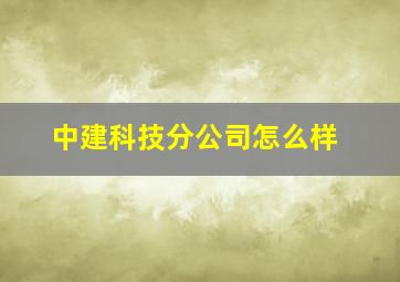 中建科技分公司怎么样