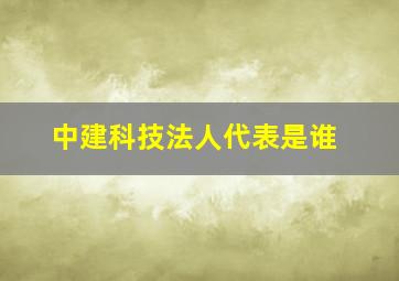 中建科技法人代表是谁