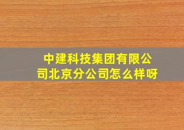 中建科技集团有限公司北京分公司怎么样呀