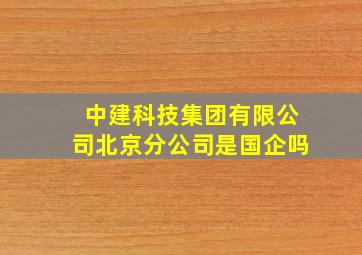 中建科技集团有限公司北京分公司是国企吗