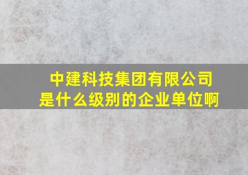 中建科技集团有限公司是什么级别的企业单位啊