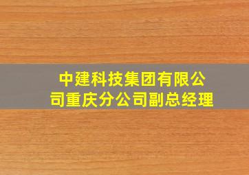 中建科技集团有限公司重庆分公司副总经理