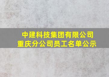 中建科技集团有限公司重庆分公司员工名单公示