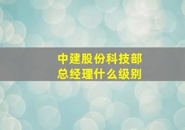 中建股份科技部总经理什么级别